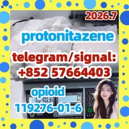 CAS 119276-01-6 Protonitazene