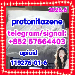 Protonitazene hydrochloride CAS#: 119276-01-6