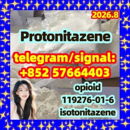 CAS 119276-01-6 Protonitazene Best