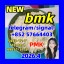 BMK Glycidic Acid (sodium salt) CAS 5449-12-7
