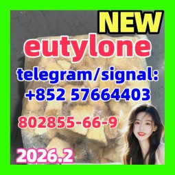 802855-66-9,EU,eutylone,mdma,EU,Low price