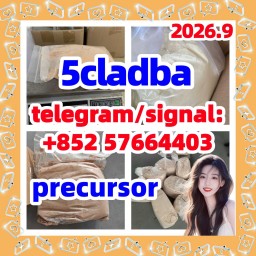 Strongest 5cladba 5CL-ADB-A precursor, -