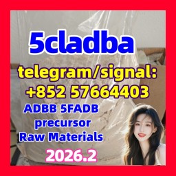 5cladba raw material 5cl-adb-a precursor raw 5cladba 5f adb