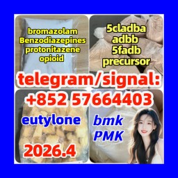 BMK Powder/Oil CAS 5449-12-7 with Germany Stock