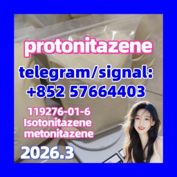 CAS 119276-01-6 Protonitazene Best Price  opioid  Isotonitazene