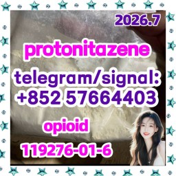 Protonitazene (hydrochloride) (Pronitazene, CAS Number: 119276-01-6)