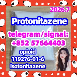Protonitazene (hydrochloride) CAS:119276-01-6