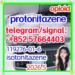 High quality CAS:119276-01-6 Protonitazene opioid analgesia and sedative