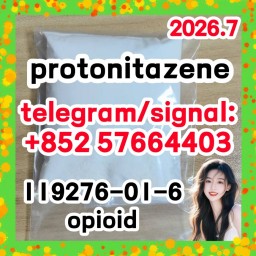 CAS: 119276-01-6 Protonitazene (hydrochloride)