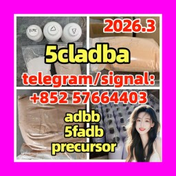 5cladba 5F-ADB ADBB 5cl-adb-a 5cladb reliable supplier