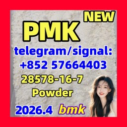 PMK ethyl glycidate | 28578-16-7