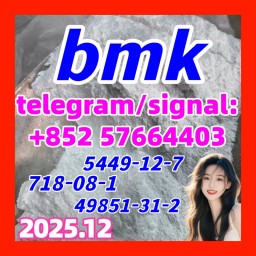 Bmk glycidic acid (sodium salt) bmk powder cas 5449-12-7 safe delivery Bmk glycidic acid (sodium salt) bmk powder cas 5449-12-7 safe delivery