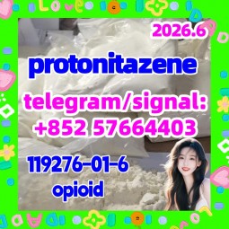CAS: 119276-01-6 Protonitazene (hydrochloride)