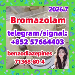 CAS:71368-80-4 Bromazolam |