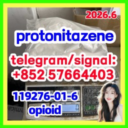 CAS 119276-01-6 Protonitazene |