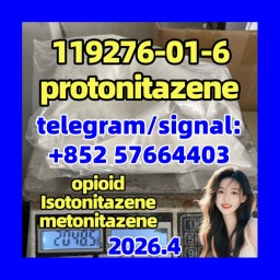 Cas 119276-01-6 Protonitazene (Hydrochloride) Seller China