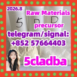 5CLADBA 5CL-ADB-A Strong effect 1119-51-3 5-Bromo-1-pentene