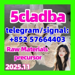 5CL-ADB China Supplier 5cl 5cladba 5cladba Raw Materials precursor Cannabinoids k2 molly jwh-210 5CL-ADB China Supplier 5cl 5cladba 5cladba Raw Materials precursor Cannabinoids k2 molly jwh-210