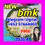 5449-12-7 BMK Glycidic (sodium salt) 5449-12-7