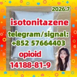 cas.14188-81-9 Isotonitazene