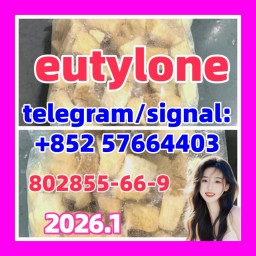 Eutylone CAS 802855-66-9/17764-18-0 Eutylone CAS 802855-66-9/17764-18-0