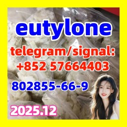 eutylone cas 802855-66-9 BKEBDB for sale eutylone cas 802855-66-9 BKEBDB for sale