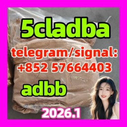 For sale - 5cladba adbb raw material 5CL-ADB-A precursor raw 5cladba 5f adb 4fadb For sale - 5cladba adbb raw material 5CL-ADB-A precursor raw 5cladba 5f adb 4fadb