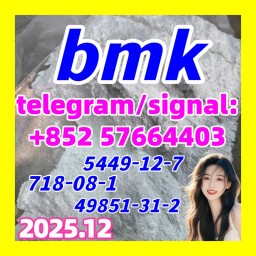 BMK 5449-12-7 Powder glycerin acid 49851-31-2 718-08-1 BMK 5449-12-7 Powder glycerin acid 49851-31-2 718-08-1