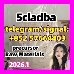 5F-ADB 5-CL-ADB-A 5CL-ADB 5CLADBA ADBB 5F-ADB 5-CL-ADB-A 5CL-ADB 5CLADBA ADBB