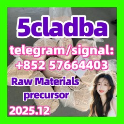 5cladba-raw-material-5cl-adb-a-precursor-raw-5cladba 5cladba-raw-material-5cl-adb-a-precursor-raw-5cladba