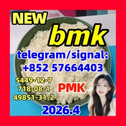 BMK Glycidic Acid (sodium salt) (NSC 16262, CAS Number: 5449-12-7)