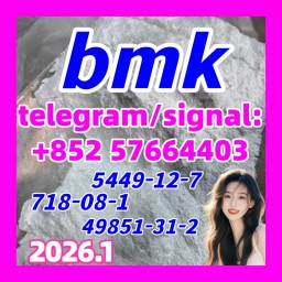 CAS 5449-12-7 BMK Glycidic Acid (sodium salt) CAS 5449-12-7 BMK Glycidic Acid (sodium salt)