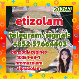 etizolam 40054-69-1
