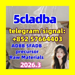China Supplier 5cladba precursor raw 5cl-adba raw materia