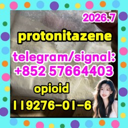 CAS 119276-01-6 Protonitazene Hydrochloride Factory supply