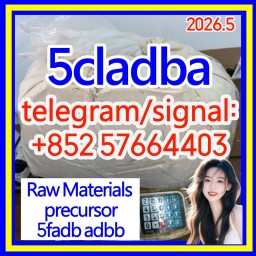 5CLADBA Precursor Market Sees Surge in Demand as Research Institutions Shift to Domestic Supplier