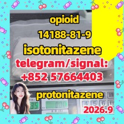 99% Isotonitazene CAS 14188-81-9