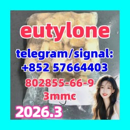 EU EUTYLONE high quality 802855-66-9