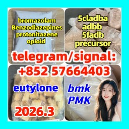 5cladba PMK eutylone opioid benzodiazepines bmk protonitazene bromazolam raw materials