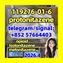 119276-01-6 Protonitazene hydrochloride
