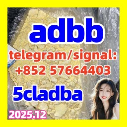 Strongest 5cladba Raw Material 5CL-ADB Strongest 5cladba Raw Material 5CL-ADB