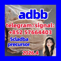 5cladba adbb raw material 5CL-ADB-A precursor raw 5cladba 5f adb 4fadb