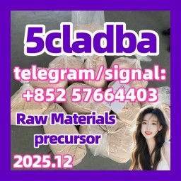 5cladba raw material adbb 5CL-ADB-A 5cladba 5f-adb 5cladba raw material adbb 5CL-ADB-A 5cladba 5f-adb