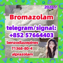 High quality cas.71368-80-4 Brozolam