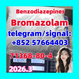 Well-sold CAS 71368-80-4 guaranteed quality proper price popular product Bromazolam white powder