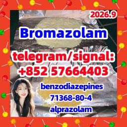 High quality cas 71368-80-4 bromazolam