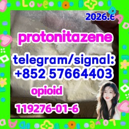 CAS:119276-01-6 Protonitazene