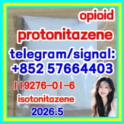 CAS: 119276-01-6 Protonitazene (hydrochloride)