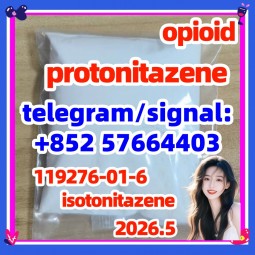 Protonitazene (hydrochloride) 119276-01-6 强效