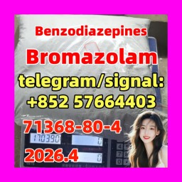 Cas 71368-80-4 Bromazolam at Best Price